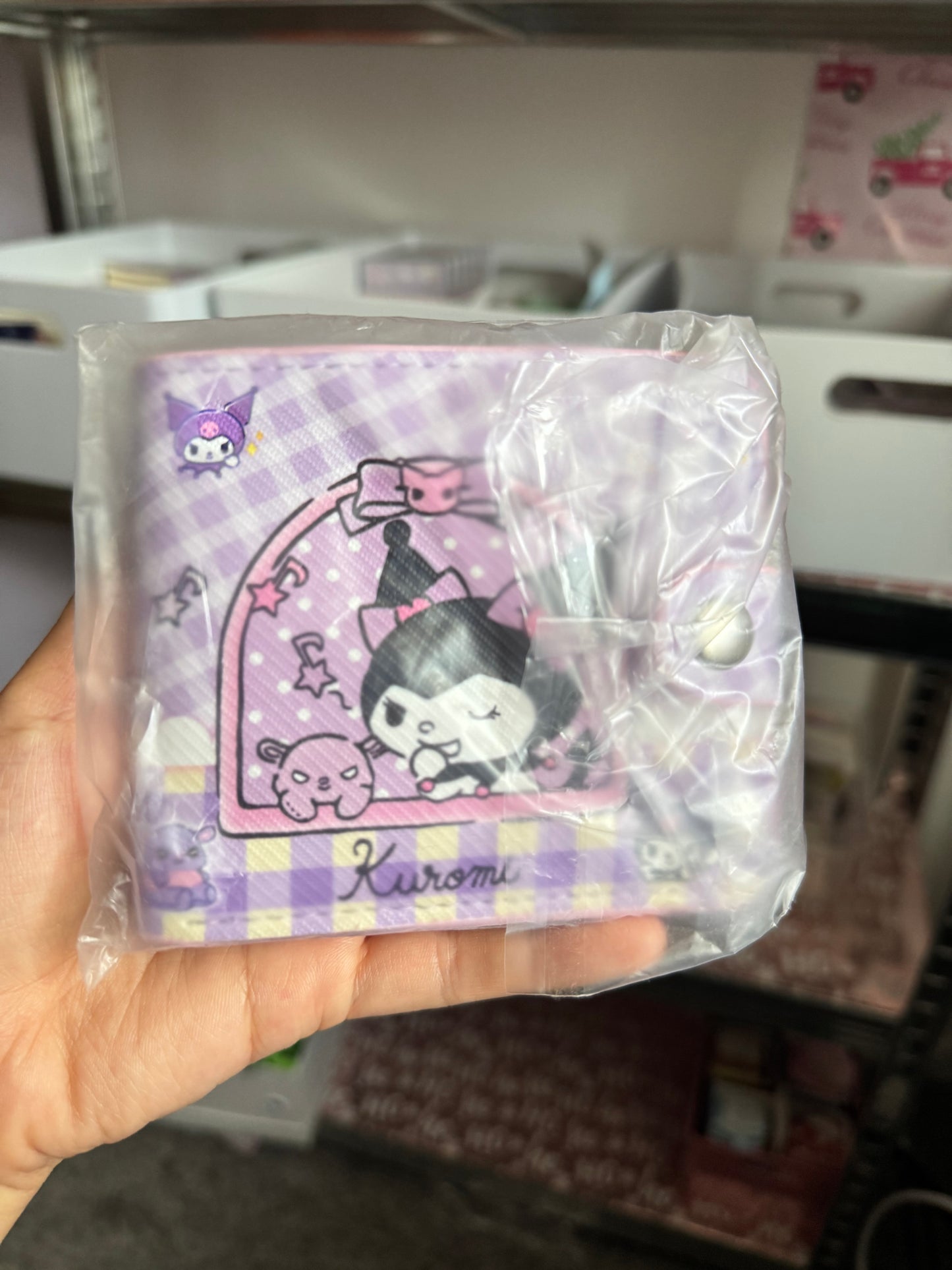 Cute Sanrio/Kawaii Wallet
