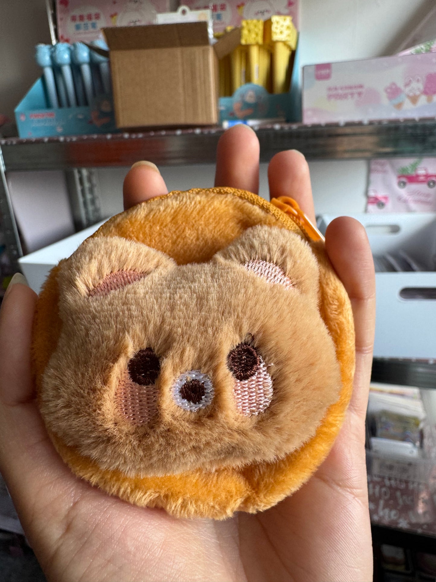 Coin Bag