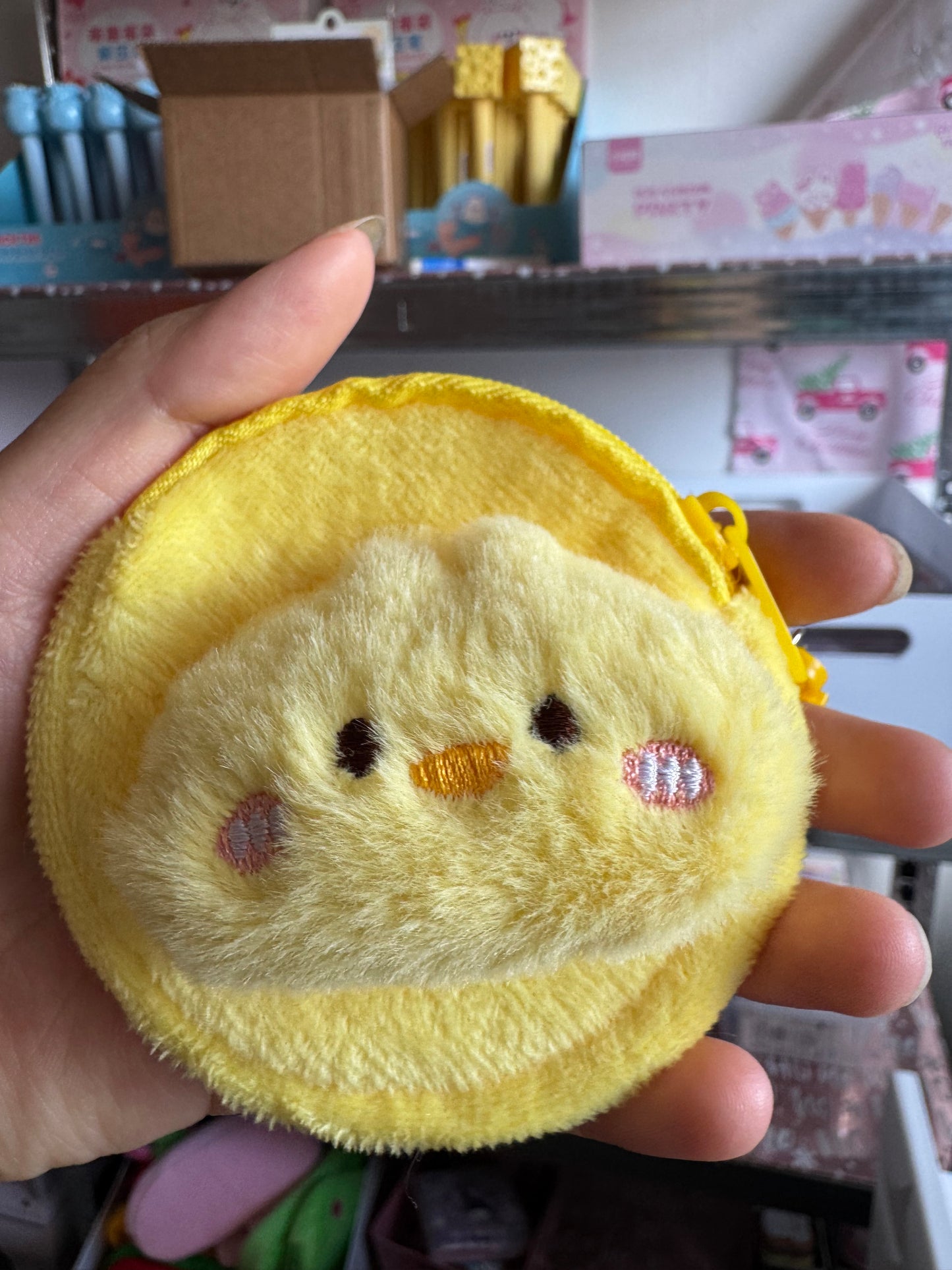 Coin Bag
