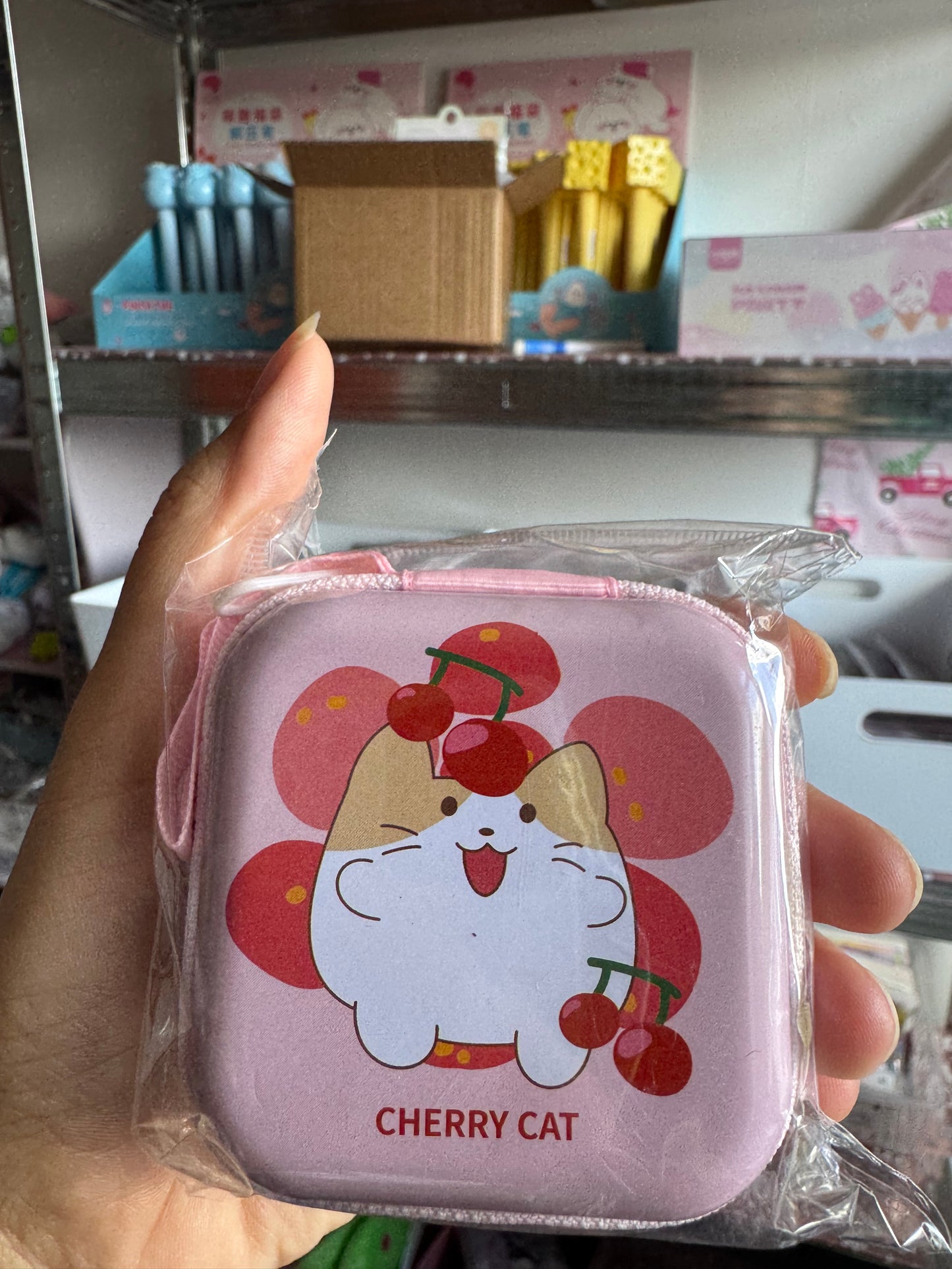 Coin Bag