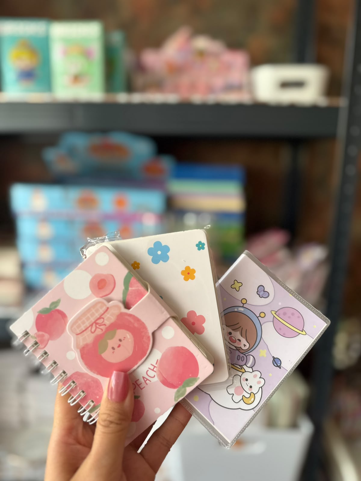 Mini Notebooks (2 Pieces)