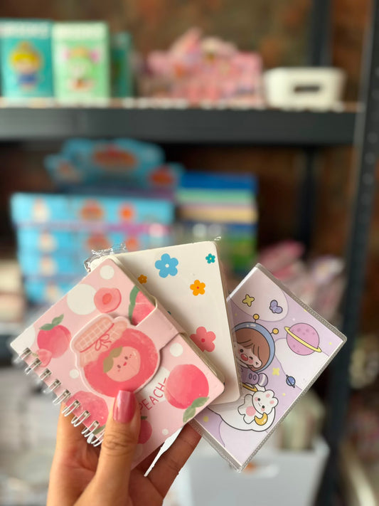 Mini Notebooks (2 Pieces)