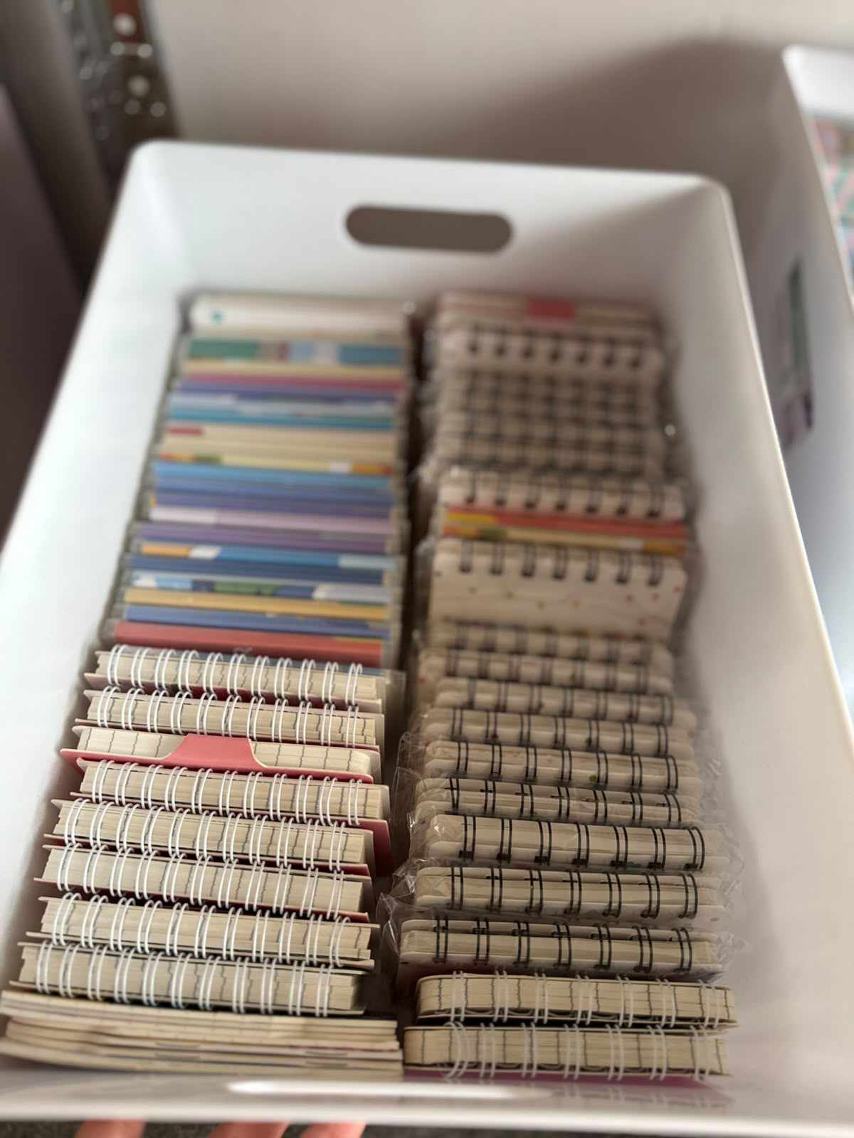 Mini Notebooks (2 Pieces)