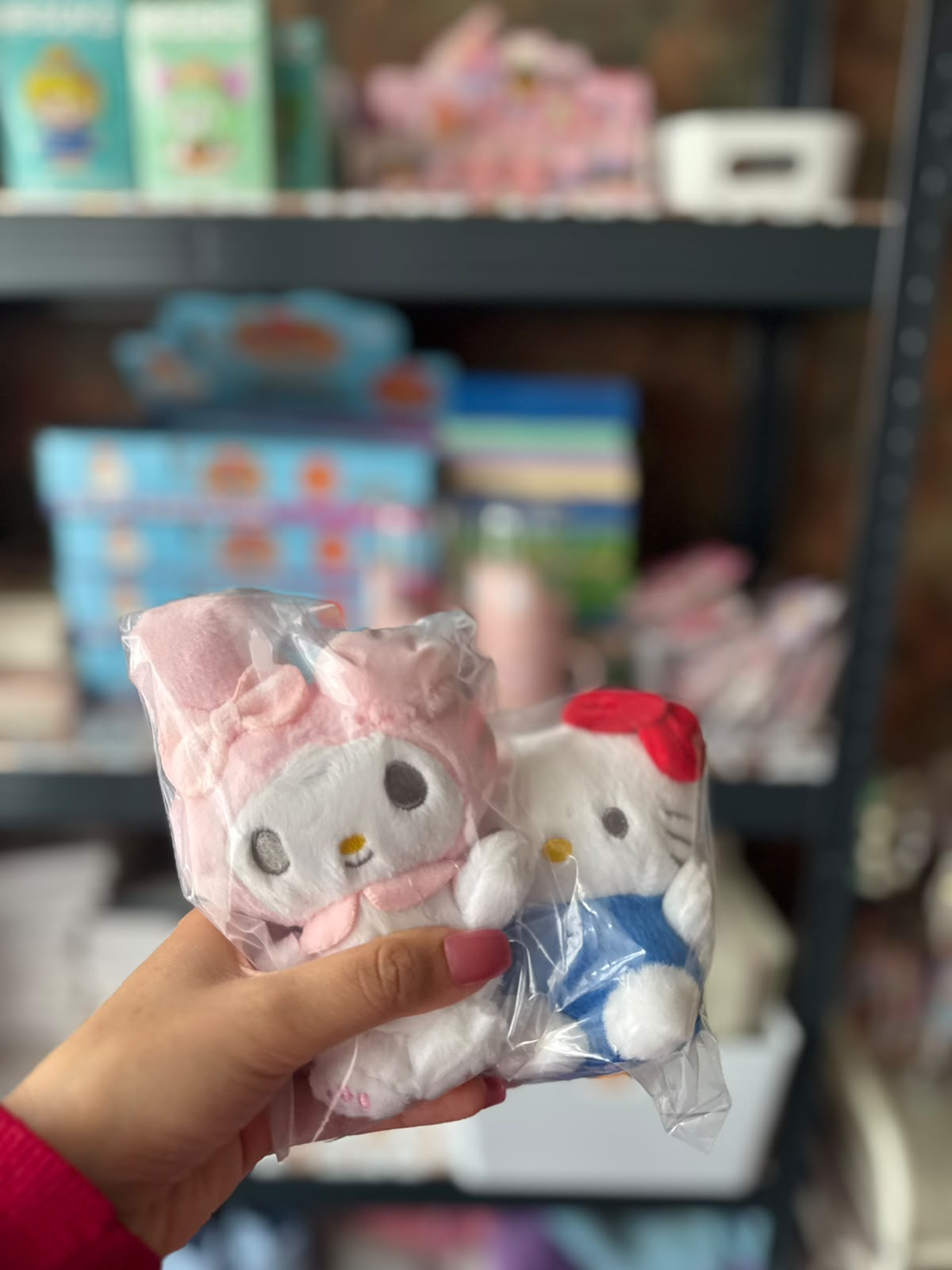 Plush Charm Keychain